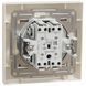 Schneider Electric Asfora EPH0300123 Вимикач двоклавішний самозатискний 111165 фото 2
