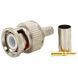 BNC-M - RG-58 crip + жовтий наконечник Q100/2500 Роз'єм 116158 фото 1