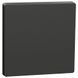 Schneider Electric Merten System Design MTN3300-6034 Клавіша 114712 фото 1